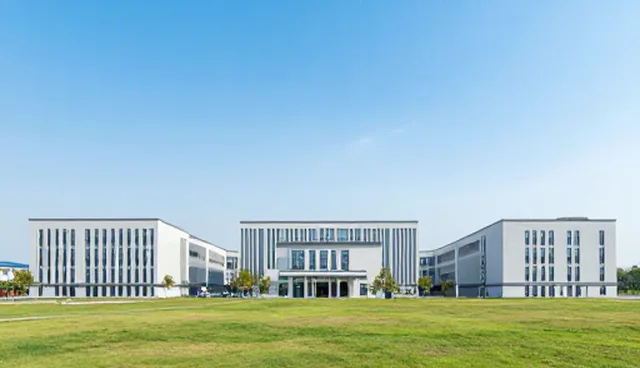 本地化服务实施中的常见问题及应对策略